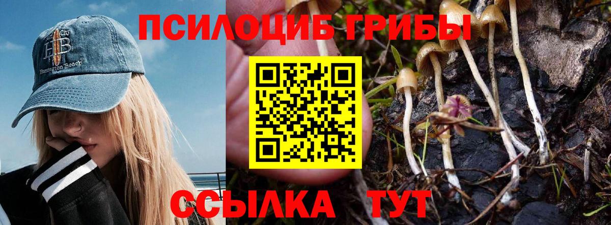 Псилоцибиновые грибы Psilocybine cubensis Клин